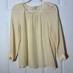 J. Crew Ivory Dotted Swiss Semi-Sheer Long Sleeve Top, Size 6